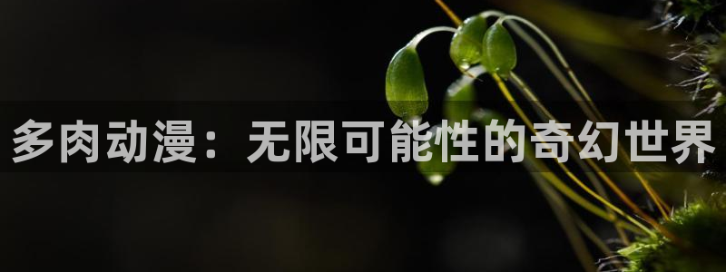 omofun动漫最新收录:多肉动漫:无限可能性的奇幻世界配图