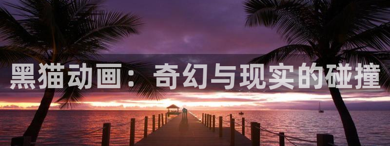 omofun动漫网：黑猫动画：奇幻与现实的碰撞配图