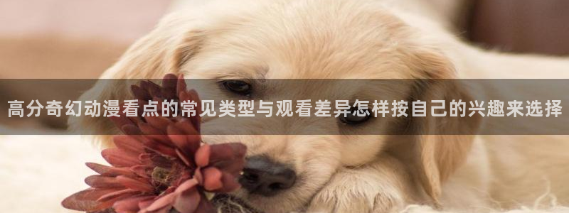 omofun动漫官网入口：高分奇幻动漫看点的常见类型与观看差异怎样按自己的兴趣来选择配图