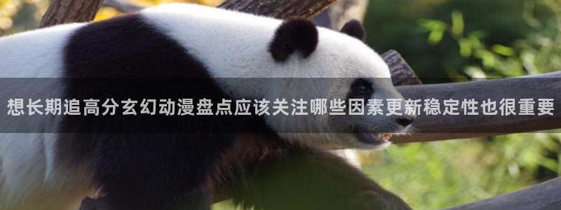 omofun剧场版:想长期追高分玄幻动漫盘点应该关注哪些因素更新稳定性也很重要配图