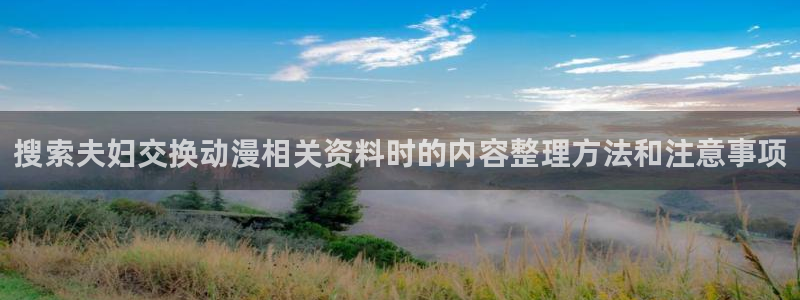 omofun最新作品:搜索夫妇交换动漫相关资料时的内容整理方法和注意事项配图