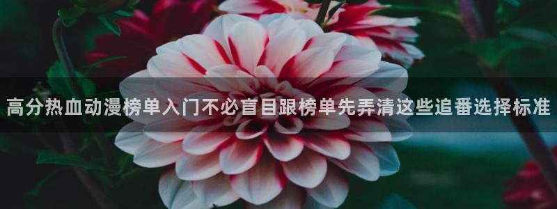 omofun最新新番:高分热血动漫榜单入门不必盲目跟榜单先弄清这些追番选择标准配图