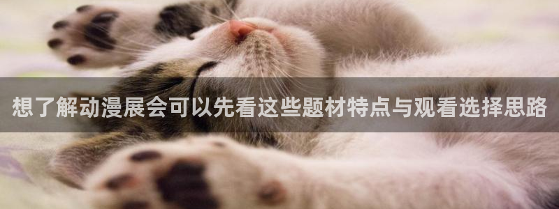 omofun最新完结:想了解动漫展会可以先看这些题材特点与观看选择思路配图